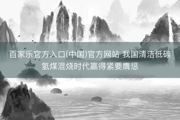 百家乐官方入口(中国)官方网站 我国清洁低碳氢煤混烧时代赢得